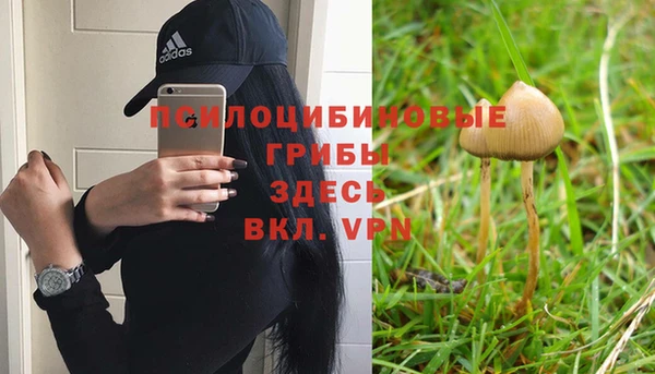 ALPHA-PVP Майский