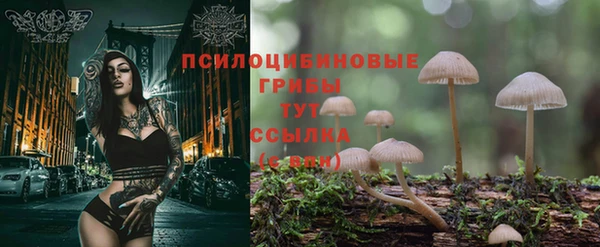 спиды Аркадак